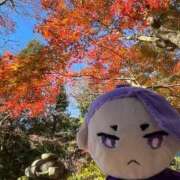 ヒメ日記 2025/11/28 17:39 投稿 前川 鶯谷デッドボール