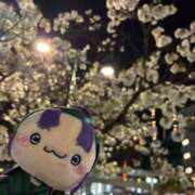 ヒメ日記 2026/04/06 17:19 投稿 前川 鶯谷デッドボール