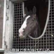 ヒメ日記 2026/07/17 12:22 投稿 前川 鶯谷デッドボール