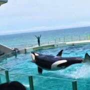 ヒメ日記 2026/07/26 23:09 投稿 前川 鶯谷デッドボール
