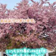 ヒメ日記 2026/03/24 10:25 投稿 ジャクソン 西川口デッドボール