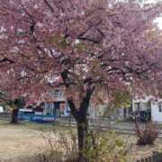 ヒメ日記 2026/04/01 07:52 投稿 ジャクソン 西川口デッドボール