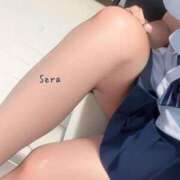 ヒメ日記 2025/01/20 20:26 投稿 セラ 俺のジュニア