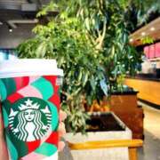 ヒメ日記 2024/12/16 15:46 投稿 ぱるむ ZERO-i