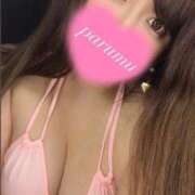 ヒメ日記 2025/04/22 10:58 投稿 ぱるむ ZERO-i