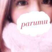 ヒメ日記 2025/04/22 22:56 投稿 ぱるむ ZERO-i