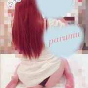 ヒメ日記 2025/08/16 15:06 投稿 ぱるむ ZERO-i