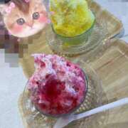 ヒメ日記 2025/08/26 10:46 投稿 ぱるむ ZERO-i