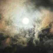 ヒメ日記 2025/10/08 14:36 投稿 ぱるむ ZERO-i