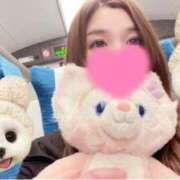 ヒメ日記 2025/10/16 16:36 投稿 ぱるむ ZERO-i