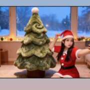 ヒメ日記 2025/12/24 12:46 投稿 ぱるむ ZERO-i