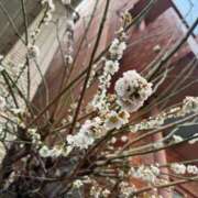 ヒメ日記 2025/03/24 14:37 投稿 北川 ゆず ハレ系 福岡DEまっとる。