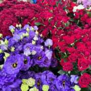 ヒメ日記 2025/06/24 15:05 投稿 北川 ゆず ハレ系 福岡DEまっとる。