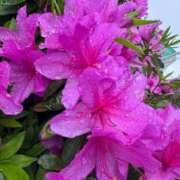 北川 ゆず あれれ〜？ ハレ系 福岡DEまっとる。＆ひよこ治療院