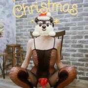 ヒメ日記 2024/12/24 21:22 投稿 那智(なち) 人妻城 横浜本店