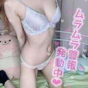 ヒメ日記 2025/01/15 08:24 投稿 青井ももか LIP×LIP滋賀