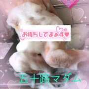 ヒメ日記 2025/04/27 12:24 投稿 三浦優妃 五十路マダム 浜松店(カサブランカグループ)