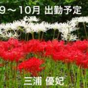 ヒメ日記 2025/09/22 10:58 投稿 三浦優妃 五十路マダム 浜松店(カサブランカグループ)