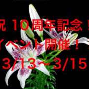 ヒメ日記 2026/03/13 08:02 投稿 三浦優妃 五十路マダム 浜松店(カサブランカグループ)