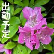 ヒメ日記 2026/05/15 13:24 投稿 三浦優妃 五十路マダム 浜松店(カサブランカグループ)