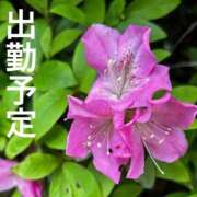 ヒメ日記 2026/07/20 07:46 投稿 三浦優妃 五十路マダム 浜松店(カサブランカグループ)