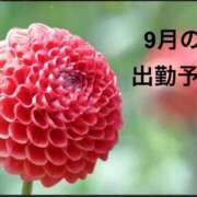 ヒメ日記 2026/09/10 07:44 投稿 三浦優妃 五十路マダム 浜松店(カサブランカグループ)