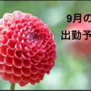 ヒメ日記 2026/09/21 22:30 投稿 三浦優妃 五十路マダム 浜松店(カサブランカグループ)