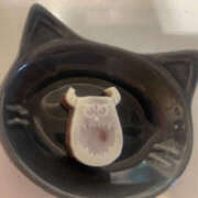 ヒメ日記 2025/01/20 17:10 投稿 りょう 奥様 仙台人妻セレブリティー