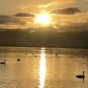 ヒメ日記 2025/01/28 15:58 投稿 りょう 奥様 仙台人妻セレブリティー