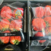 ヒメ日記 2025/03/03 11:51 投稿 りょう 奥様 仙台人妻セレブリティー