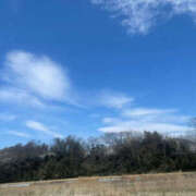 ヒメ日記 2025/03/23 14:48 投稿 りょう 奥様 仙台人妻セレブリティー