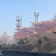 ヒメ日記 2025/04/14 13:20 投稿 りょう 奥様 仙台人妻セレブリティー