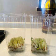 ヒメ日記 2025/04/30 12:02 投稿 りょう 奥様 仙台人妻セレブリティー