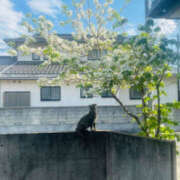 ヒメ日記 2025/05/09 11:52 投稿 りょう 奥様 仙台人妻セレブリティー