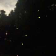 ヒメ日記 2025/07/08 15:39 投稿 りょう 奥様 仙台人妻セレブリティー