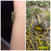 ヒメ日記 2025/07/21 13:19 投稿 りょう 奥様 仙台人妻セレブリティー