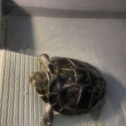 ヒメ日記 2025/07/27 10:09 投稿 りょう 奥様 仙台人妻セレブリティー