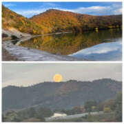 ヒメ日記 2025/11/06 14:34 投稿 りょう 奥様 仙台人妻セレブリティー