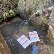 ヒメ日記 2025/12/27 13:01 投稿 りょう 奥様 仙台人妻セレブリティー