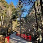 ヒメ日記 2026/01/18 11:17 投稿 りょう 奥様 仙台人妻セレブリティー