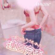 ヒメ日記 2024/12/15 22:39 投稿 あまね 秒即DE舐めてミント池袋店