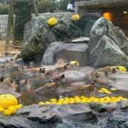 ヒメ日記 2025/02/10 17:27 投稿 のあ 横浜回春性感マッサージ倶楽部