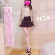 ヒメ日記 2025/02/11 02:17 投稿 のあ 横浜回春性感マッサージ倶楽部