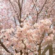 ヒメ日記 2025/03/26 16:47 投稿 のあ 横浜回春性感マッサージ倶楽部