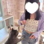 ヒメ日記 2025/07/28 13:07 投稿 のあ 横浜回春性感マッサージ倶楽部