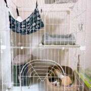 ヒメ日記 2025/10/22 18:17 投稿 のあ 横浜回春性感マッサージ倶楽部