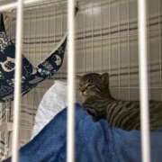 ヒメ日記 2025/11/08 18:57 投稿 のあ 横浜回春性感マッサージ倶楽部