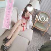 ヒメ日記 2025/11/17 16:07 投稿 のあ 横浜回春性感マッサージ倶楽部