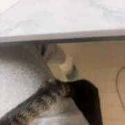 ヒメ日記 2025/12/06 12:27 投稿 のあ 横浜回春性感マッサージ倶楽部