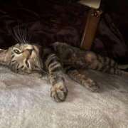 ヒメ日記 2025/12/31 14:17 投稿 のあ 横浜回春性感マッサージ倶楽部